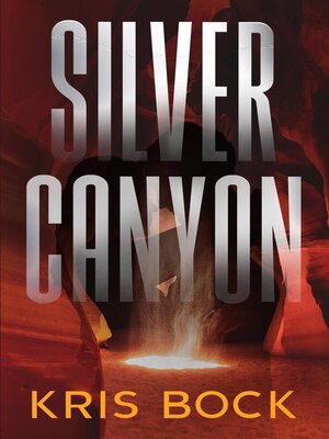 cover image of Silver Canyon